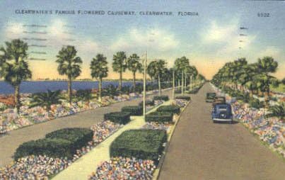 Пощенска картичка от Клируотера, Флорида