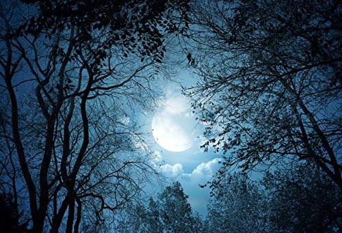 Yeele 20x10ft Фон с нощен изглед към Гората на Нощното Небе Луната Лунна Светлина Снимка на Дърво на Фона на