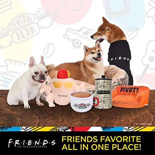 Friends the ТВ Шоу Приятели VB: Плюшен играчка-пищалка за кучета с диагонал 6 инча в рамка - добре заедно |