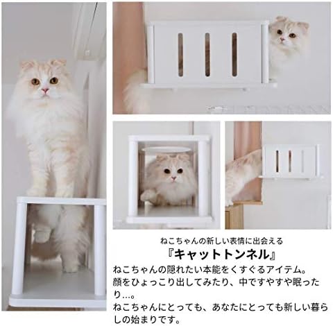 Animacole Cat Road Cat Step Котешки тунел едно Малко убежище Произведено в Япония