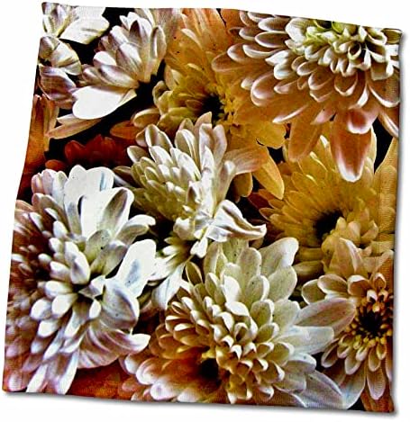 3dRose Costasonlineshop Фотография на Цветя - Хризантеми, Бели, Бежови - Кърпи (twl-236357-3)