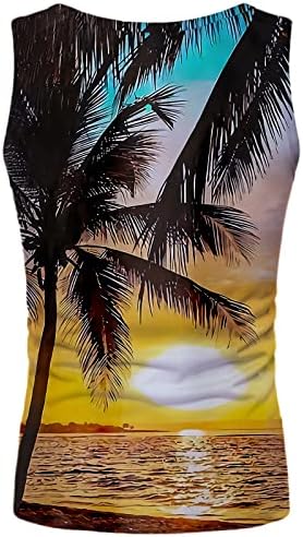 Мъжки Блузи на Бретелях Плажа на Залез слънце, С кръгло деколте Без Ръкави За Тренировки Slim Fit Летен Плаж Забавен Графичен Модерен Голям И Висок