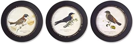 Melrose Модерен Домашен Декоративен разпечатки с птици в рамка (комплект от 3 теми) 9,5 D МДФ