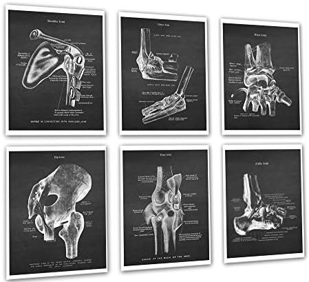 Медицински Декор комплект от 6 Ортопедични без рамки плакати с образа на Анатомията на човека и Ставите